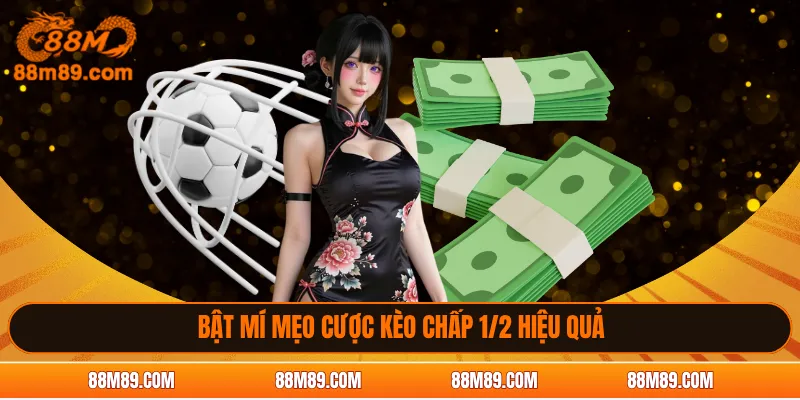 Bật mí mẹo cược kèo chấp 1/2 hiệu quả